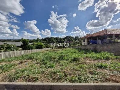 Terrenos A Venda Araucária - Lotes/Terrenos à venda em Araucária, PR - Viva Real