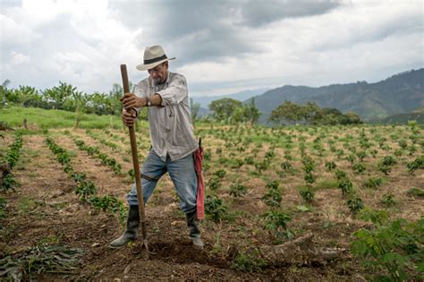 Man Working The Land At A Farm Â Agriculture Concepts Stock Photo