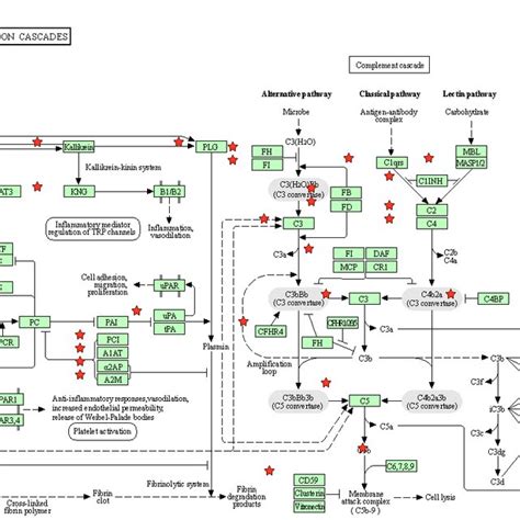 Pathway Analysis Of Differentially Expressed Proteins Using Kegg Online Download Scientific