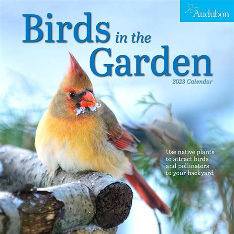 Audubon Birds In The Garden Wall Calendar 2018 6
