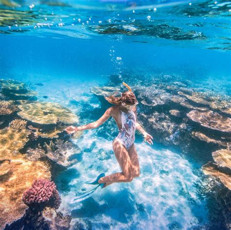 Explore The Great Barrier Reef In Townsville North Queensland Adrenalin Snorkel And Dive