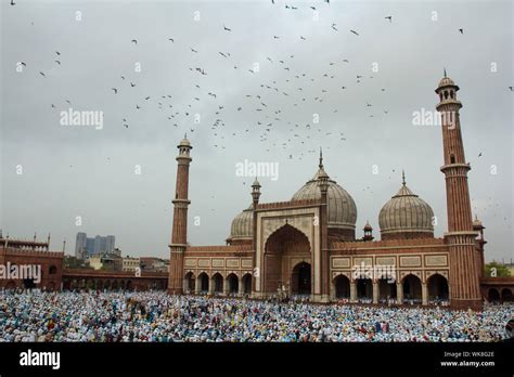 Large Group Of People Praying Namaz At Masjid Jama Masjid Old Delhi