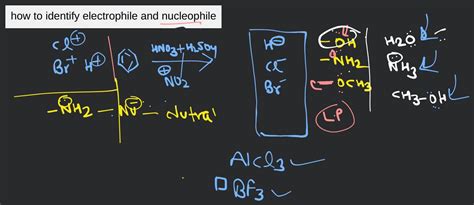 how to identify electrophile and nucleophile | Filo