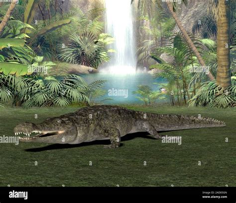 Sarcosuchus prehistoric crocodile. Computer illustration of a ...