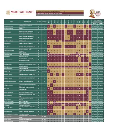 Calendario Temporada Baja 2024 Lind Shelia