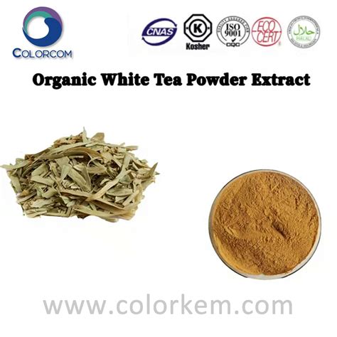 High Quality Green Tea Extract Manufacturer And Supplier Factory