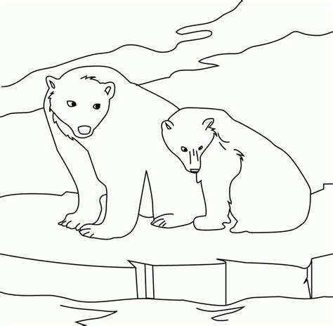 9600 Coloring Pages Arctic Animals HD - Coloring Pages Printable