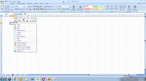 Carpeta De Evidencias Excel Definiciones De Barras