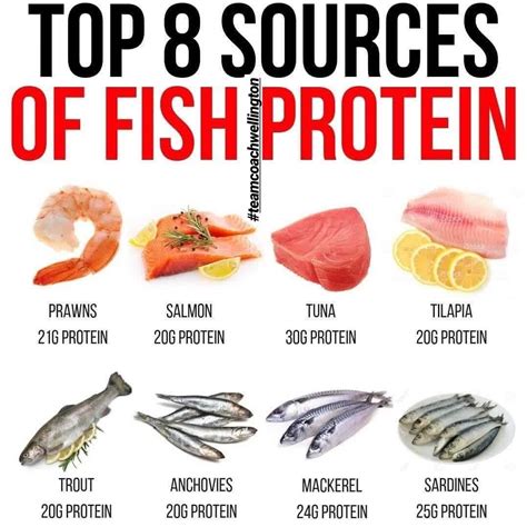 Protein In Fish