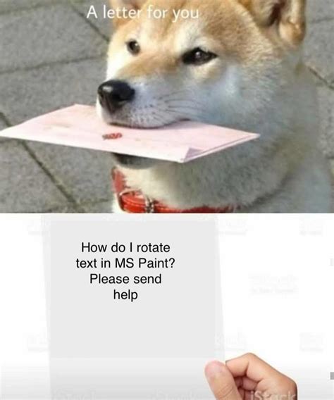 Shiba Inu Meme