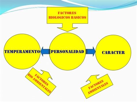 Cuadros Sin Pticos Sobre La Personalidad Cuadro Comparativo