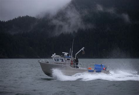 Kuow ‘our Relatives Under The Water Lummi Release Salmon To Ailing