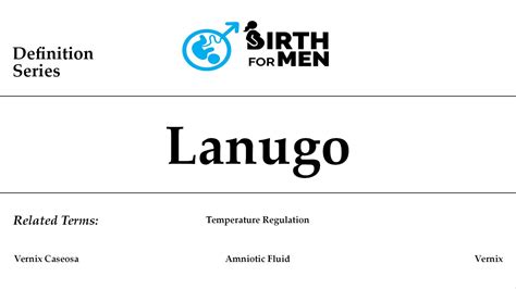 Lanugo Definition – BirthForMen