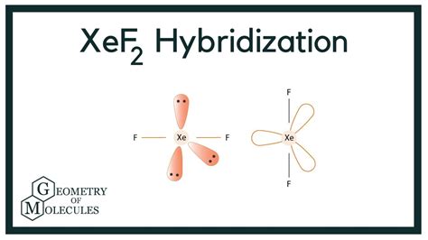 Hybridization of XeF2 (Xenon Difluoride) - YouTube