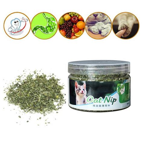 Natural Organic Premium Catnip Catmint G Menthol Flavor