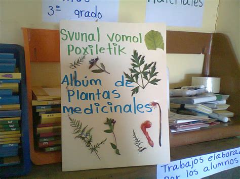 Las Plantas Medicinales