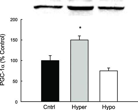 Relative expression of peroxisome proliferator-activated... | Download ... 