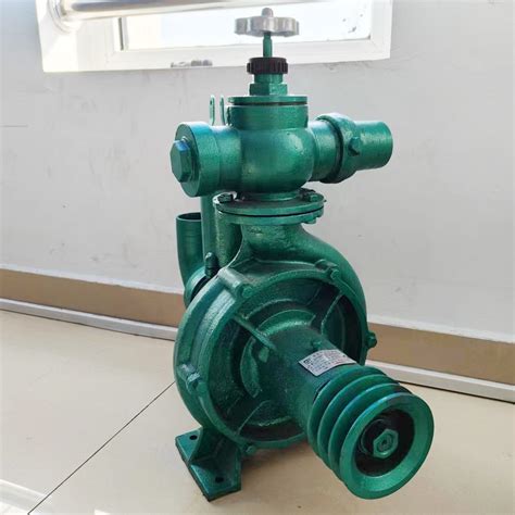 Sprinkler Irrigation System High Pressure Lift Irrigation Water Pump