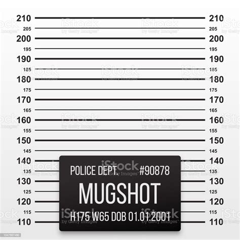 Polisi Mug Ditembak Atau Mugshot Vektor Sentimeter Barisan Latar