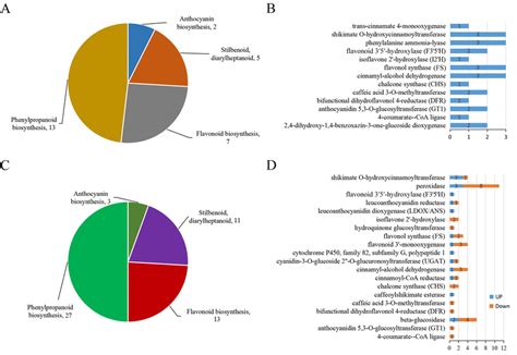 Summary Of Number Of A Differentially Abundant Proteins Daps And Download Scientific