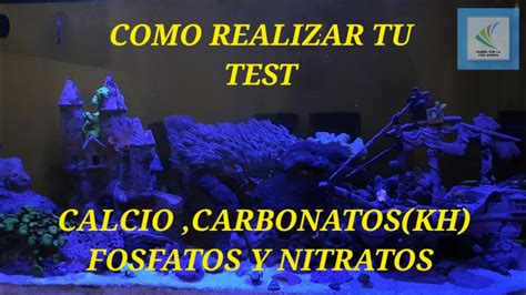 Como Realizar Tu Test De Arrecife Calcio Carbonatos Kh Fosfato Y