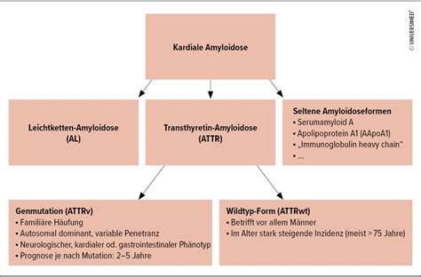 Kardiale Amyloidose rasche Diagnose frühzeitige Behandlung