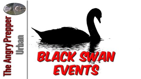 Black Swan Events – Black Swan Review