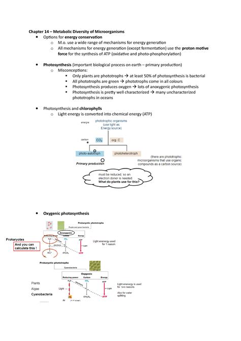 Chapter 14 Metabolic Diversity Of Microorganisms Photosynthesis