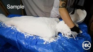 Free Plaster Encased Porn Videos From Thumbzilla