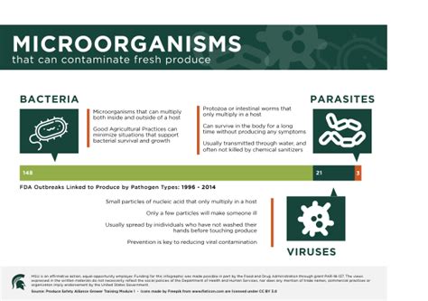 Microorganisms Infographic Agrifood Safety