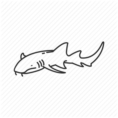 Nurse Shark Outline Shark Drawing Nurse Shark Shark Silhouette