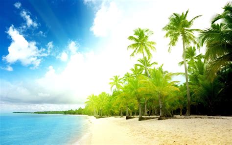 Goa Wallpapers - 4k, HD Goa Backgrounds on WallpaperBat