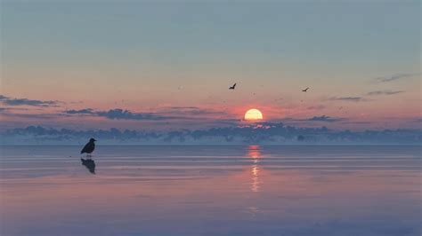 Nude Beach Wallpapers Images