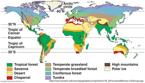 African Savanna Biome Map - Pets Lovers