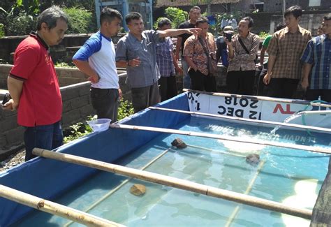 Pelatihan Budidaya Upr Ikan Air Tawar Di Kelurahan Mangunsari