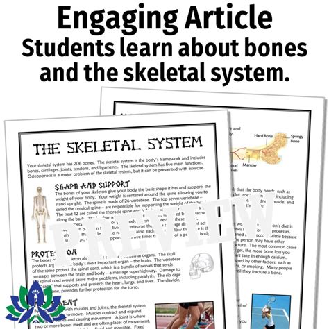 Halloween Science Reading Passage Skeletal System And Bones Flying