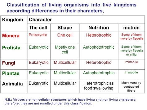 Classification Of Living Things 5 Kingdoms