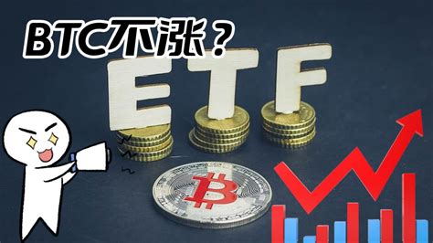 比特币之 为什么etf资金流入数十亿美元 Btc价格却没有变动 比特币 比特幣 区块链 以太坊 加密货币 虚拟货币 币圈 股市