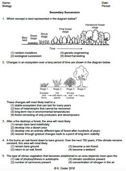 Ecological Succession Worksheet Answers