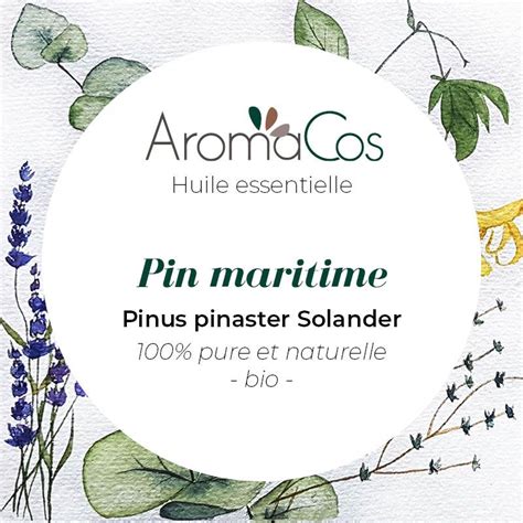 Huile Essentielle De Pin Maritime Bio