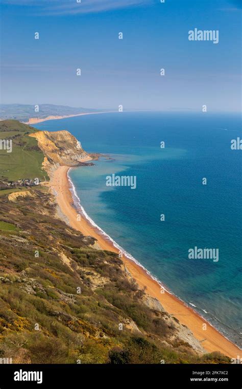 Seatown Beach And The Ridge Cliff Land Fall From Golden Cap On The