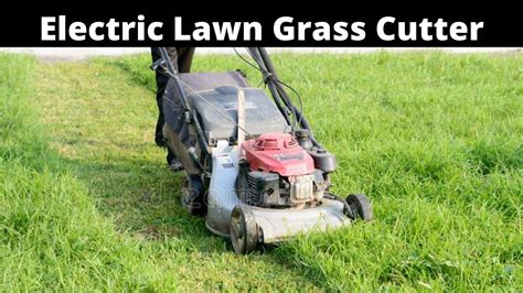 6 Best Electric Lawn Grass Cutter Review 2021