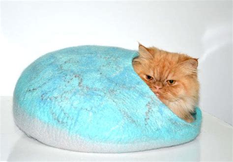 An Orange Cat Laying On Top Of A Blue Round Pillow That Looks Like A Ball