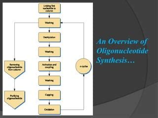 Chemical synthesis of DNA By Prabhu Thirusangu | PPT