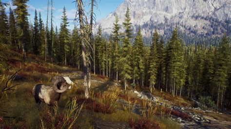 Купить ключ для игры Way of the Hunter Elite Edition для STEAM. Отзывы ...