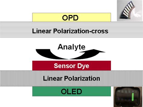 Color Online Schematic Of The Polarizer Sensor Geometry In Front