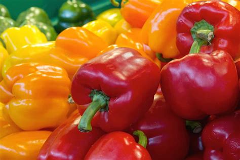 Bell Pepper Benefits: How Healthy Are They? - PepperScale