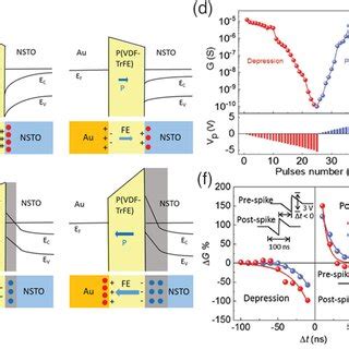 Structural Data Of The FeFET A Schematic Illustration Of A FeFET