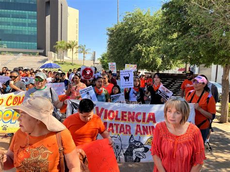 Marchan En Torre N Para Exigir Que Se Endurezcan Penas Por Maltrato Y