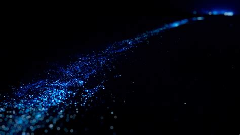 Top 5 Bioluminescent beaches - Mexico travel and tourism blog